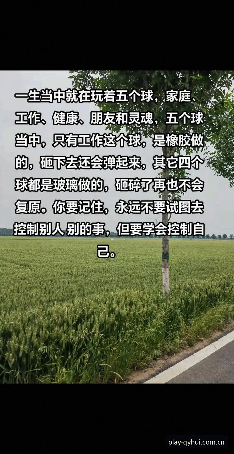 揭秘球友会官网入口地址推荐背后的真相：新手必看的五个关键点