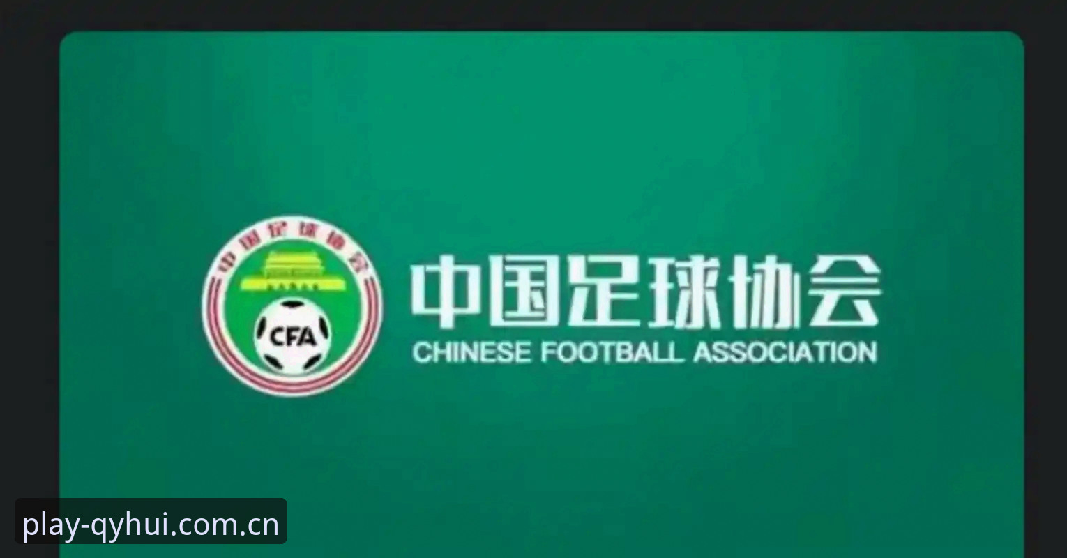 中国足协第三批禁足名单深度评测：足球生态净化进行时